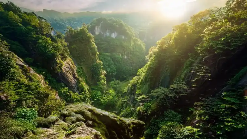 Durabilité du beurre de karité