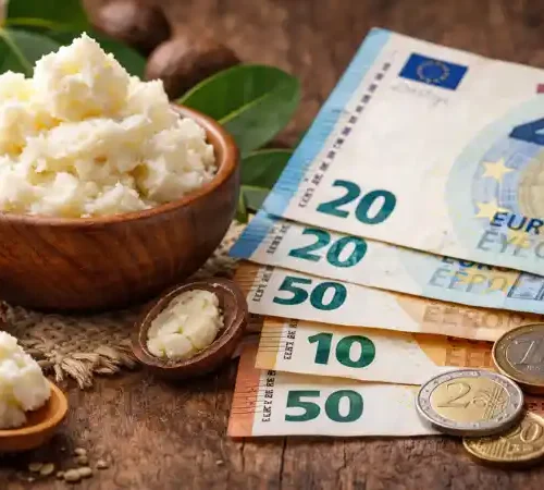 Combien coûte le beurre de karité ? Combien coûte le beurre de karité avec beurre brut, noix et billets en euros